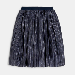 تنورة بليسيه مطرزة بالترتر...